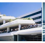 Australian International College of Language - Sydney Private Schools