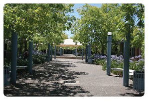 Mary MacKillop College - Sydney Private Schools 1