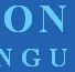BYRON BAY ENGLISH LANGUAGE SCHOOL - Sydney Private Schools