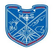 Mcauley Catholic Central School - Sydney Private Schools