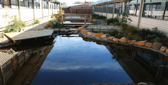 Cranbourne West Primary School - Sydney Private Schools 3