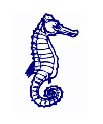 Albert Park Primary School - Sydney Private Schools