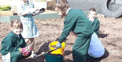 Chalcot Lodge Primary School - Sydney Private Schools