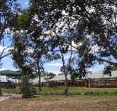 Clayton View Primary School - Sydney Private Schools