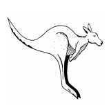 Dorset Vale SA Sydney Private Schools