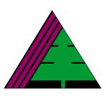 The Pines Primary School - Sydney Private Schools