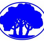 Mitcham Primary School - Sydney Private Schools