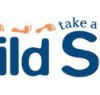 Child Side School - Sydney Private Schools