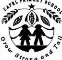 Capel Primary School - Sydney Private Schools