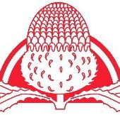 Waddington Primary School - Sydney Private Schools