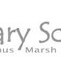 Darley Primary School - Sydney Private Schools
