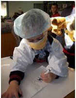 Rolling Hills Primary School - Sydney Private Schools 1