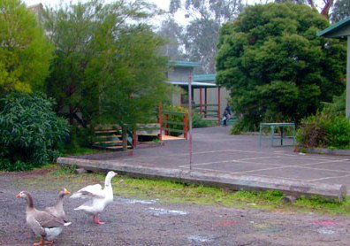 Village School Inc - Sydney Private Schools 1