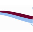 Annunciation School - Sydney Private Schools