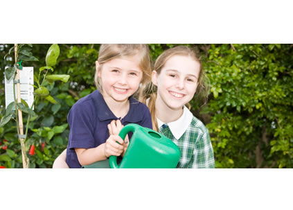 Holy Family Primary School - Sydney Private Schools 1