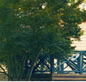 Sherbrooke Community School - Sydney Private Schools