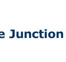 Eagle Junction State School - Sydney Private Schools