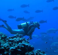 Aquatic Adventures Courses - Sydney Private Schools