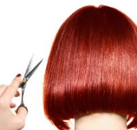 The Angel Hair  Beauty Institute- Hair  Beauty School Ballarat - Sydney Private Schools