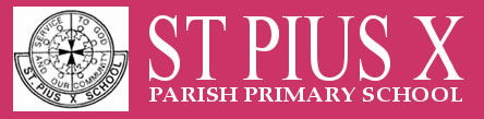 St Pius X School  - Sydney Private Schools 0
