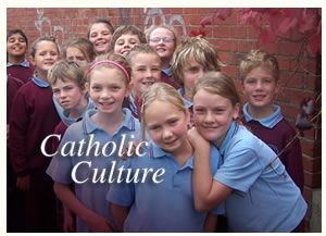 St Alipius Parish Primary School - Sydney Private Schools 0