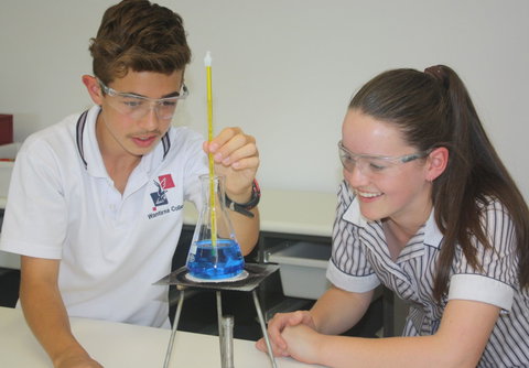 Wantirna College - Sydney Private Schools 1