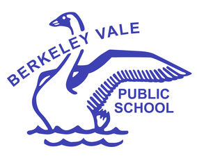 Berkeley Vale Public School - Sydney Private Schools 0