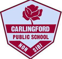 Carlingford Public School - Sydney Private Schools