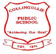 Corrimal Public School - Sydney Private Schools