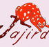 Jajirdi Consultants - Sydney Private Schools