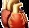 Lynex Health Care  Training Services - Sydney Private Schools