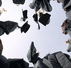 People Plus - Sydney Private Schools