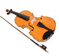 Violin Sports - Sydney Private Schools