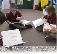 Townview State School - Sydney Private Schools