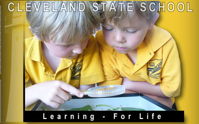 Cleveland State School - Sydney Private Schools 0