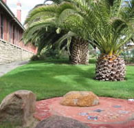 Palmyra Primary School - Sydney Private Schools