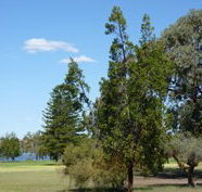 Lake Monger Primary School - Sydney Private Schools