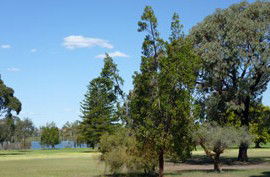 Lake Monger Primary School - Sydney Private Schools 0