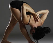 8 Limbs - Sydney Private Schools 2