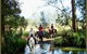 Bellrowan Valley Horse Riding - thumb 2