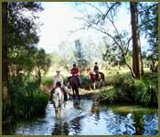 Bellrowan Valley Horse Riding - Sydney Private Schools 2