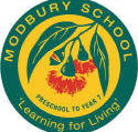 Modbury School Preschool to Year 7 - Sydney Private Schools