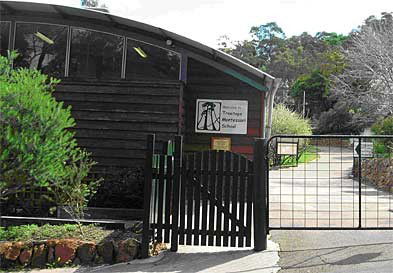 Treetops Montessori Primary School - Sydney Private Schools 0