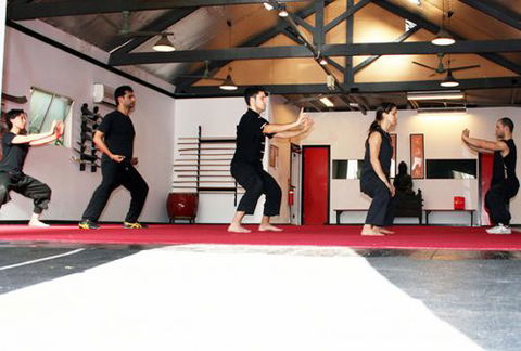 Wu-shu Academy - Sydney Private Schools 1