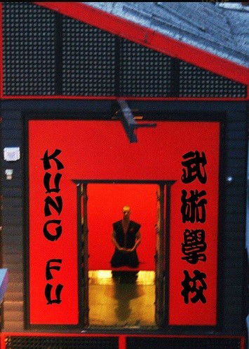 Wu-shu Academy - Sydney Private Schools 4