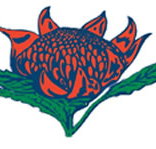 Hurstville South Public School - Sydney Private Schools