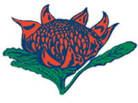 Hurstville South Public School - Sydney Private Schools 0
