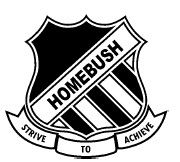 Homebush Public School - Sydney Private Schools 0