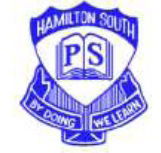 Hamilton South Public School - Sydney Private Schools