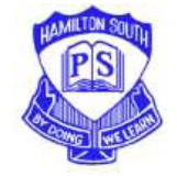Hamilton South Public School - Sydney Private Schools 0